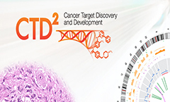 CTD_2