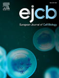 European-Journal-of-Cell-Biology