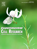 Experimental-Cell-Research