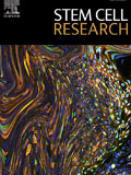 Stem-Cell-Research