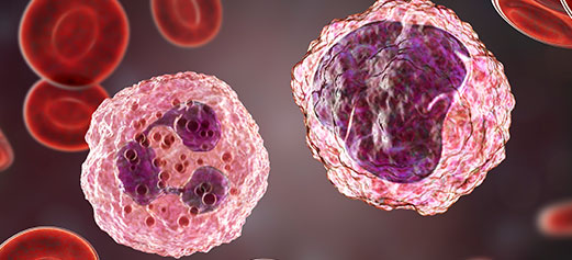 Scientific Image