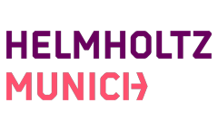 https://www.helmholtz-munich.de/en
